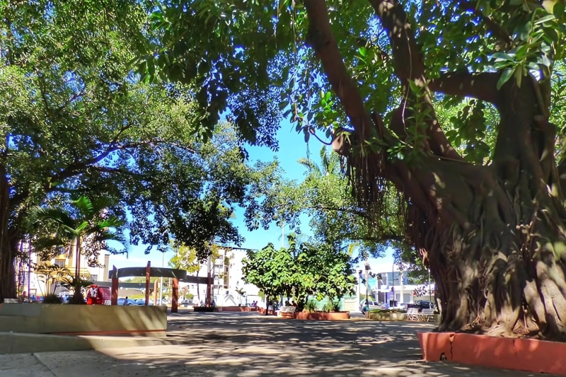 Noticia prefeitura-leva-musica-teatro-e-literatura-a-praca-da-catedral-no-encerramento